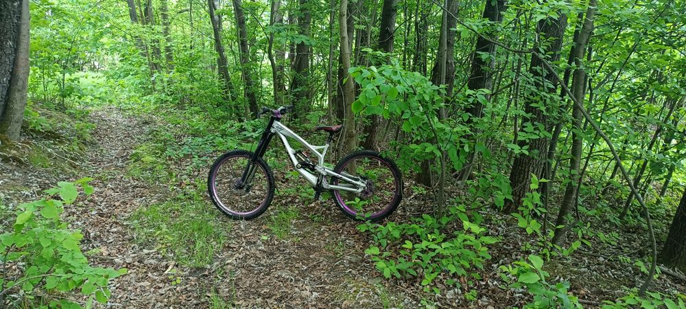 Rower dh YT Teues world cup 2.0