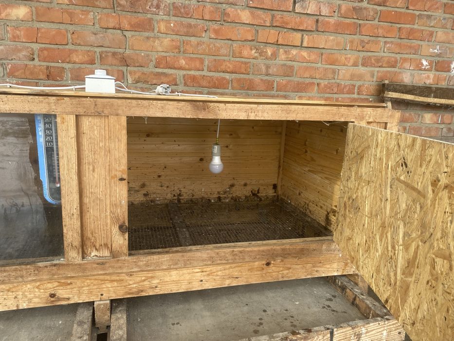 Брудер для курчат