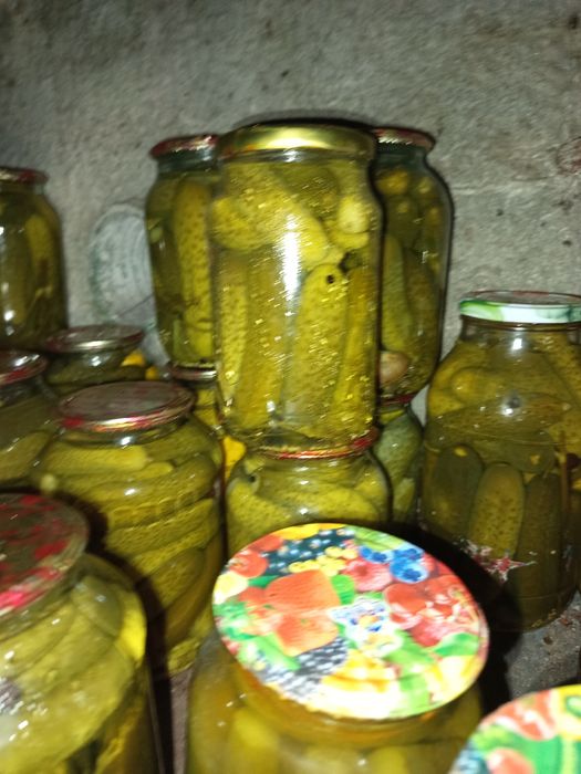 Домашняя консервация