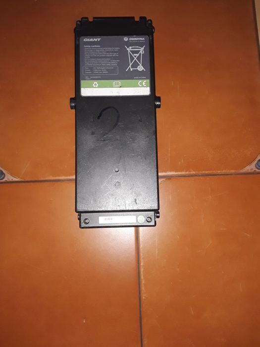 Rower elektryczny Giant 36V parka