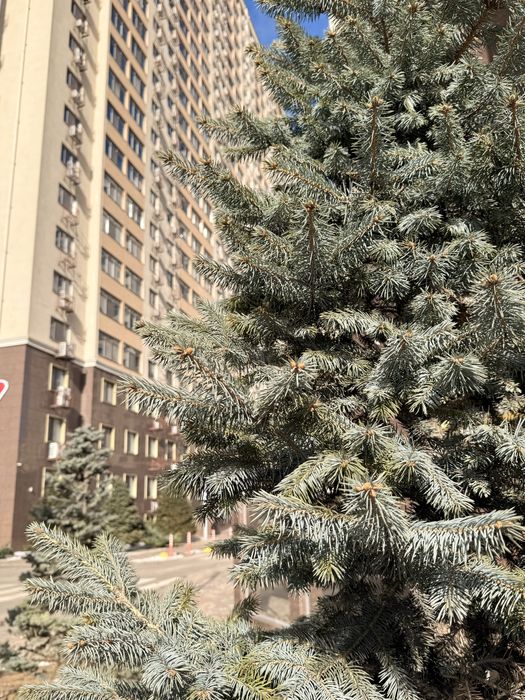 Сахарова Кадор 2х комнатная , евроремонт-56 000$