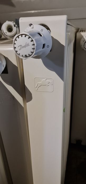 Grzejniki BRUGMAN + głowice termostatyczne Danfos 1200x600 i 600x600