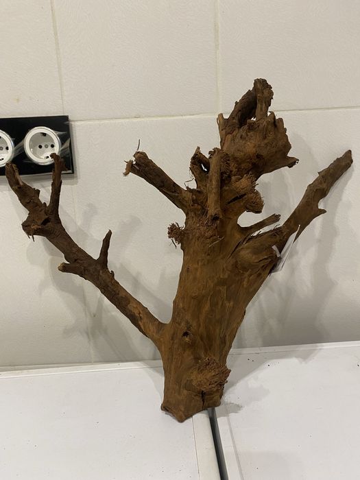 Коряга корч корень Мангровое дерево Малайзия