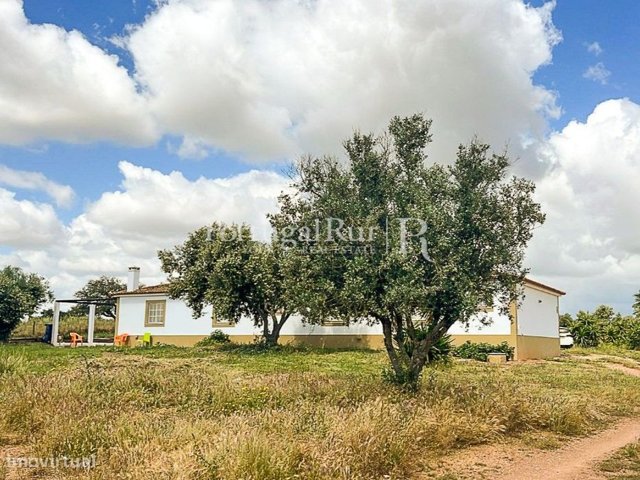Herdade com 15 hectares com picadeiro e olival