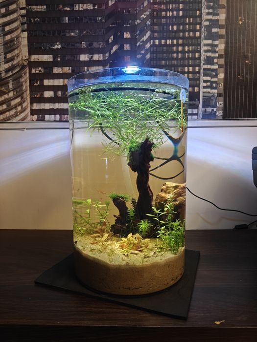 Zestaw Akwarium 20L DIY