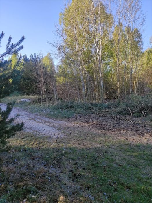 Sprzedam działkę rolno-budowalaną 1.53 ha cicha spokojna okolica
