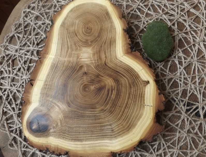 Спили акації для декору