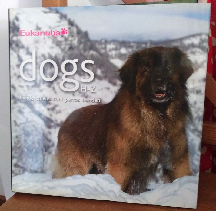 Eukanuba Album Rasy Psów H - Z