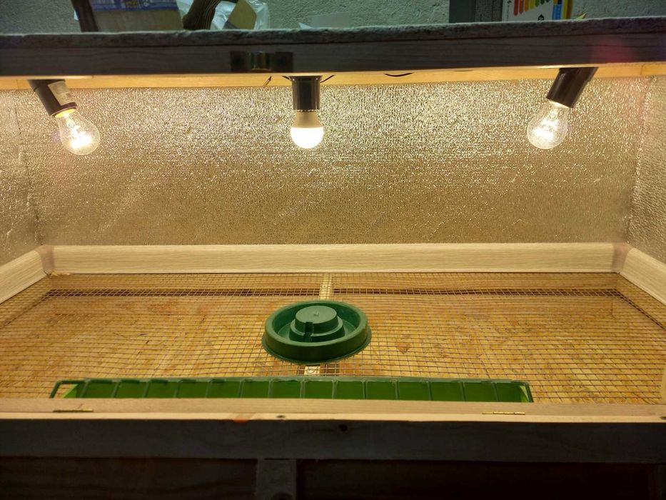 Яслі для птиці(брудер)