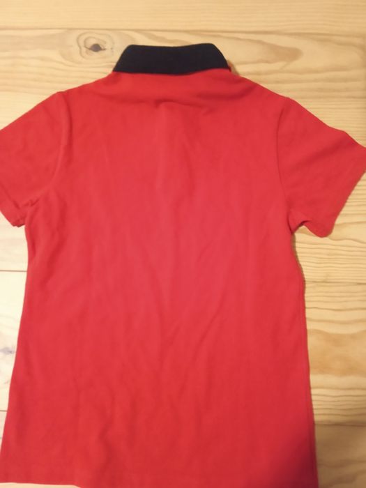 T shirt fato de treino oficial do Benfica