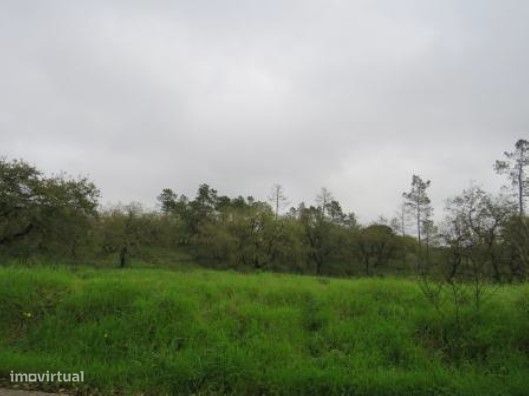 Terreno em Tomar — São Pedro de Tomar, Santarém