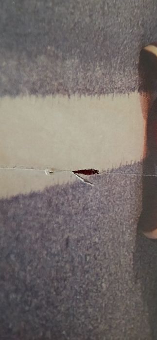 Poster D.A.M.A./Demi Lovato