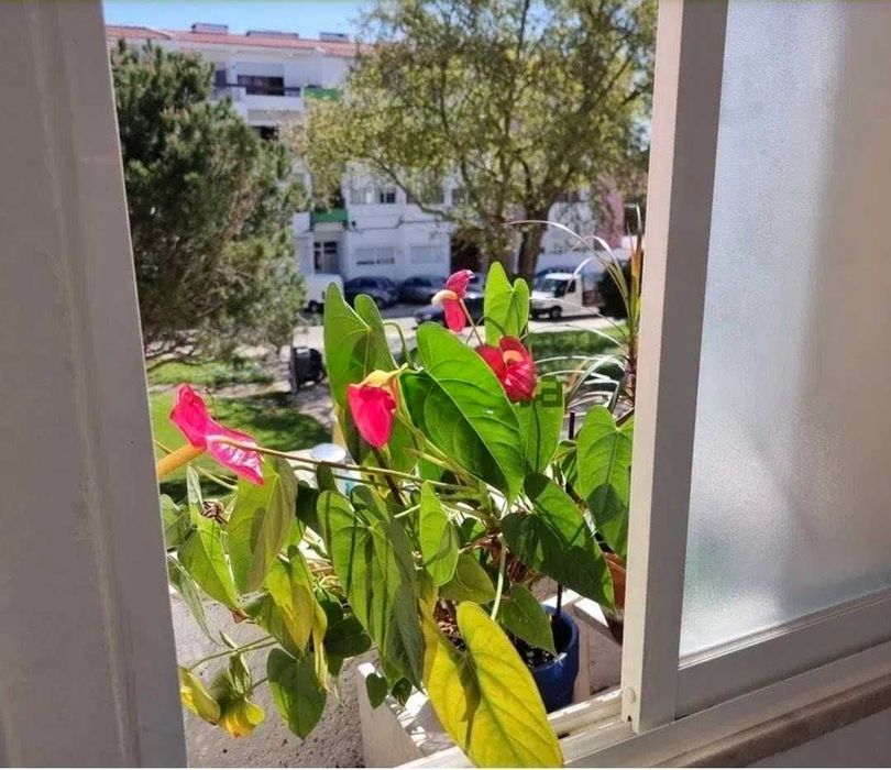 T1 para arrendamento em Cascais