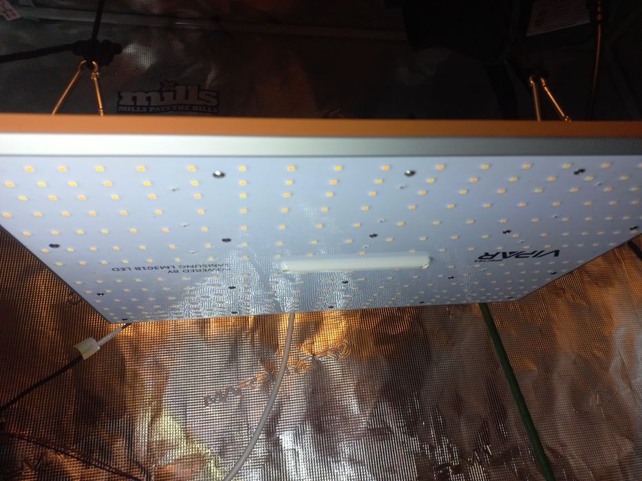 HPS Killer Grow Led Viparspectra XS1500 Samsung Lm301