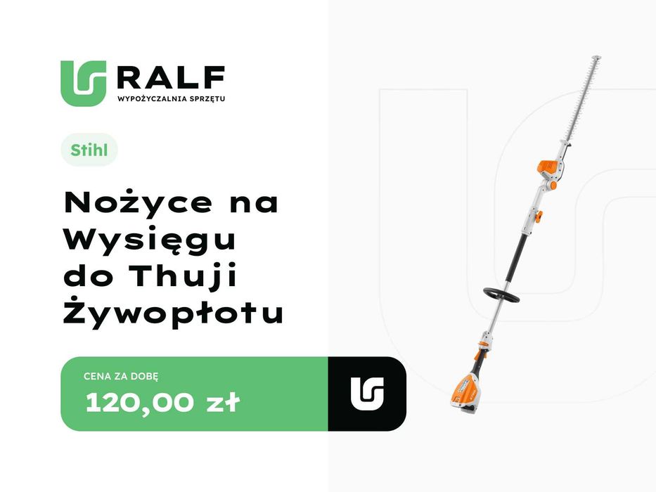 Wynajem Nożyce spalinowe do żywoplotu / thuji Stihl
