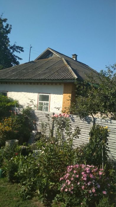 Продається будинок з великою ділянкою в мальовничому селі Чернігівщини
