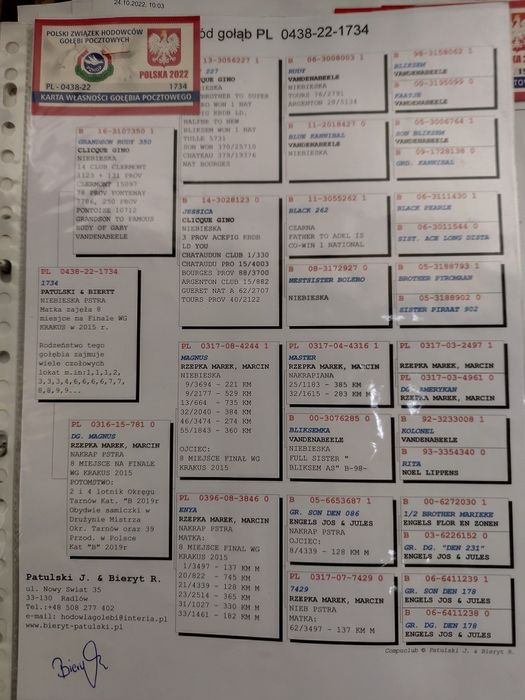 Gołębie pocztowe oryg.Patulski i Bieryt