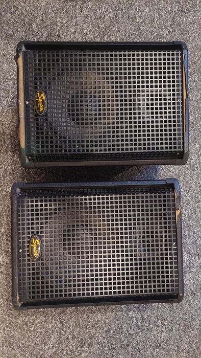 Пара колонок Fender Squier 4