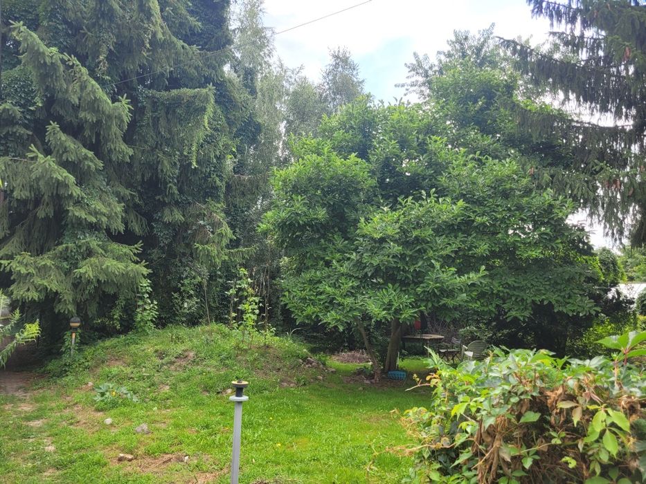 Pokój 2 osobowy Nadarzyn