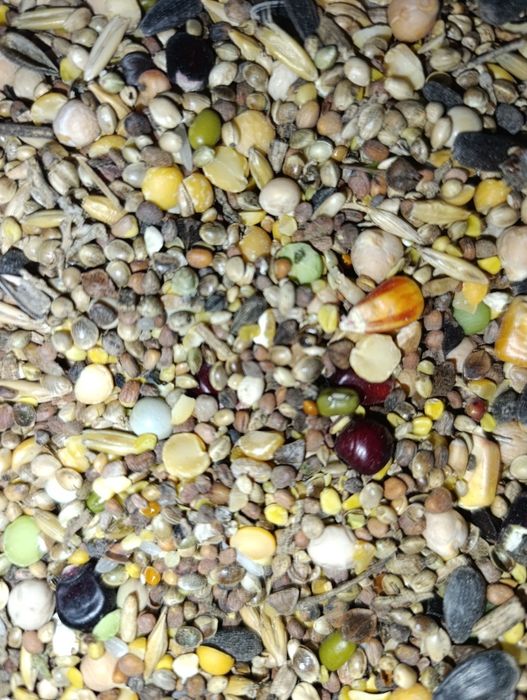 Pasza karma dla drobiu ,ptaków i gryzoni