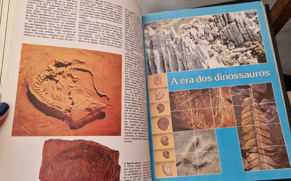 Enciclopédia "O mundo submarino " de Jacques Yves Cousteau