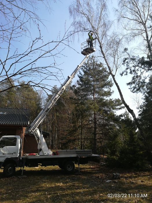 Wycinka drzew z podnośnika, przycinka/rębakowanie/frezowanie.UBEZPIECZ