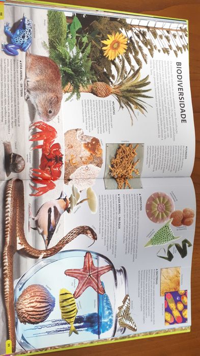 BAIXA DE PREÇO 9€  Livro "UAU Terra" !