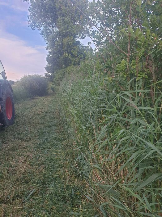 wycinka rekultywacja koszenie mulczowanie czyszczenie działek