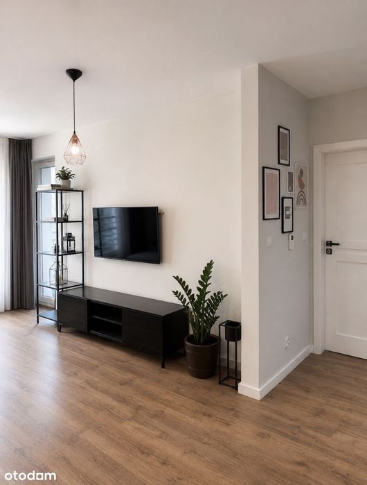 Apartament, wysoki standard, Stare Miasto, 50m, balkon