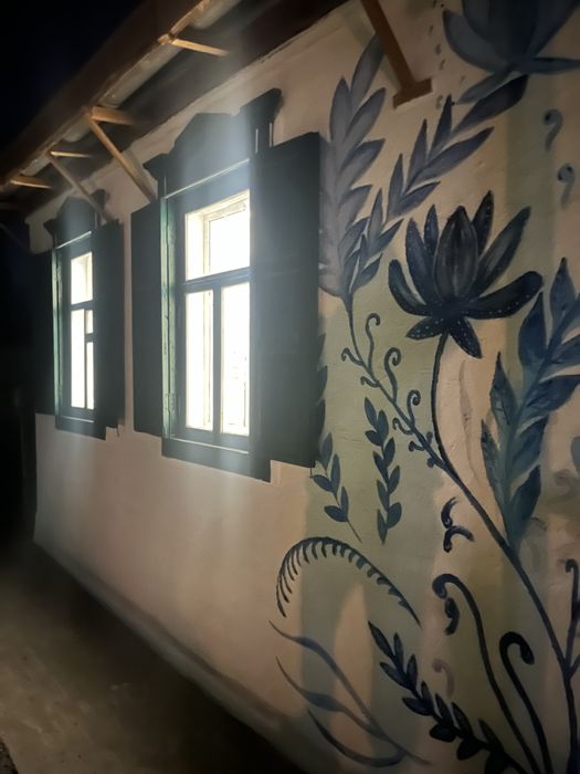 Оренда еко будинок «Мальва» з озером і банею