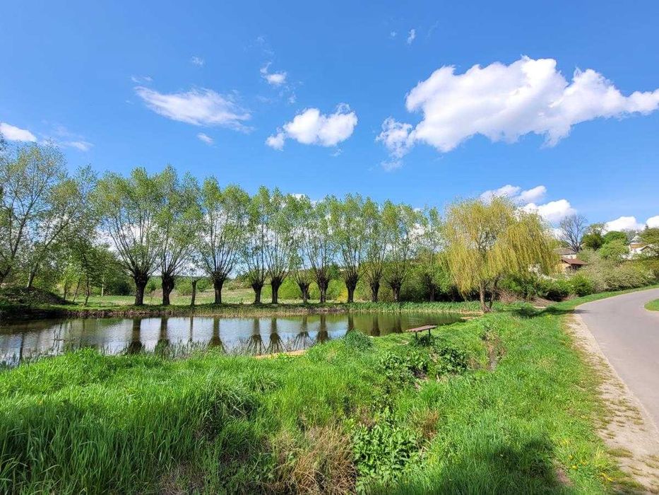 Земельна ділянка в с.Колодіївці. вул.Л.Українки. 25 сот.