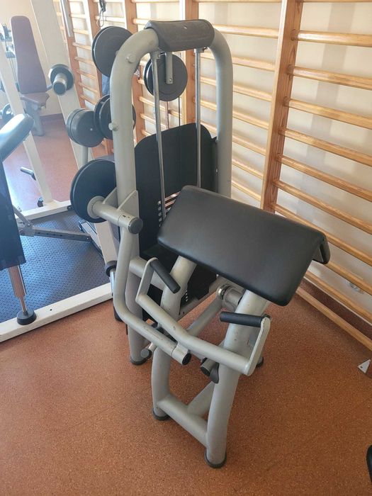 Maszyna na siłownię na biceps modlitewnik