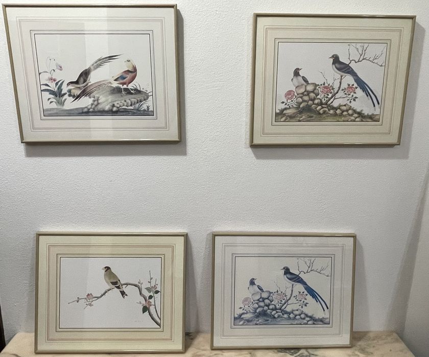 Bird Picture Collection64752331890690120