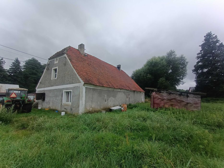 Dom – Popęszyce, powiat nowosolski - Widok 2