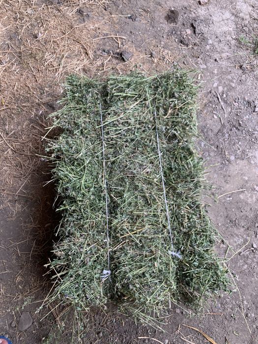 Продам люцерну в тюках