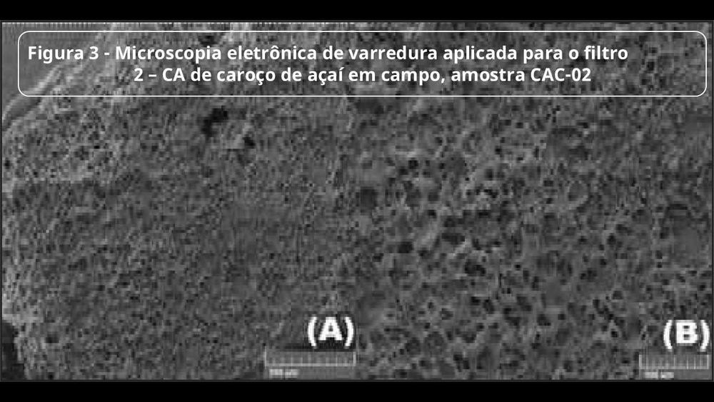 Carvão de Caroço de Açai