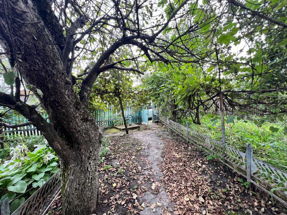 Будинок с. Троянів 25 км від Житомира