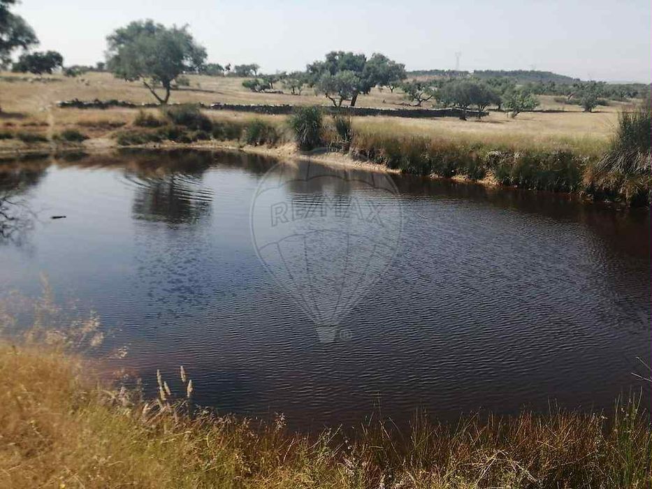 Terreno Rústico com área de 22.000m2 (2,2 ha)