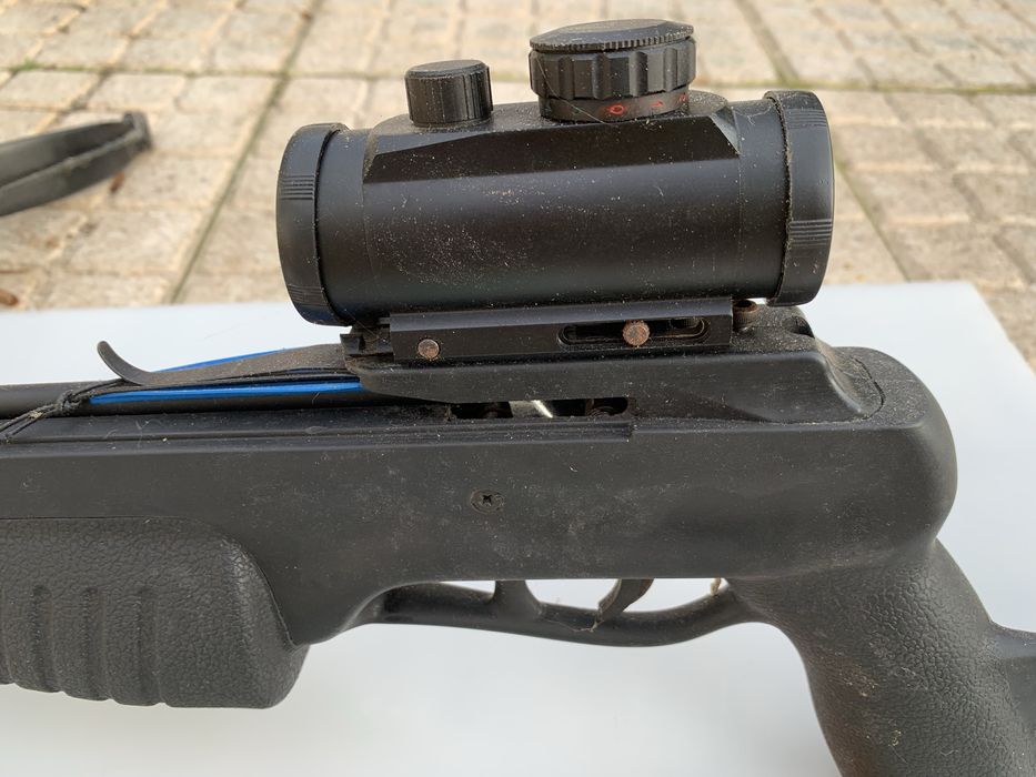 Besta para caça, pesca ou desporto