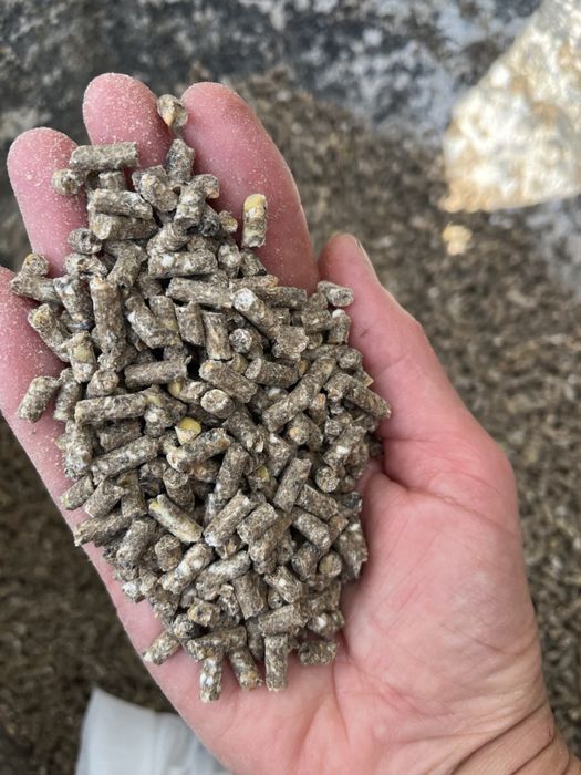 Гранульований корм для риби, гранули, корм