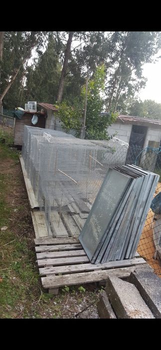 Viveiros / voadeiras