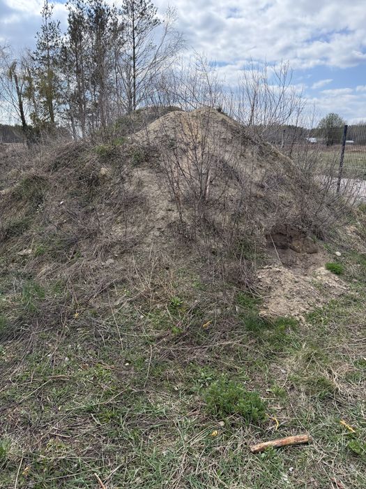 Oddam ziemię za darmo