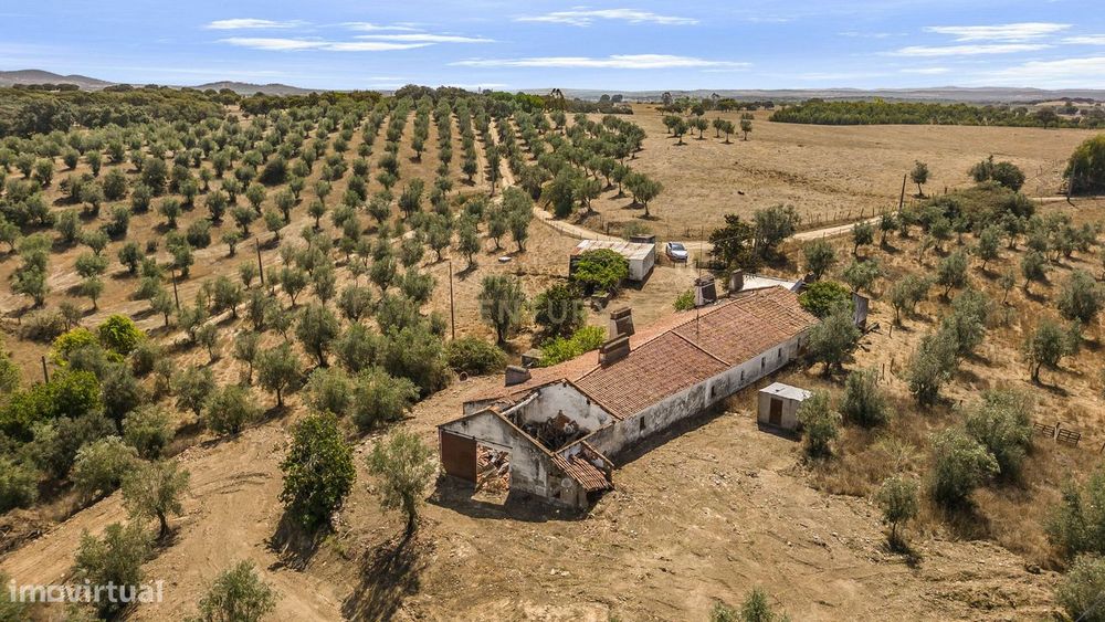 Herdade Com 5,9 Hectares, Moradia E Cavalariça | Santiago Do Escoural