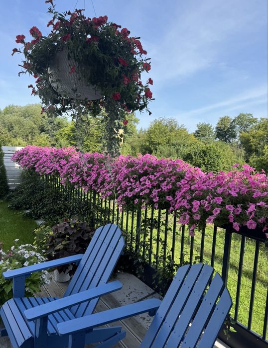 Drewniany bujane krzesło tarasowe 2 sztuki