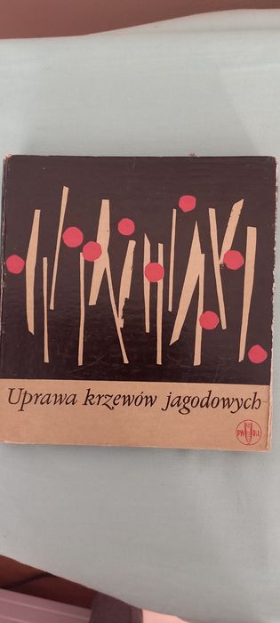 Uprawa krzewów jagodowych - Łucka