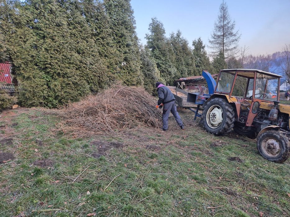 Zeębka drzewna pod zamowienie