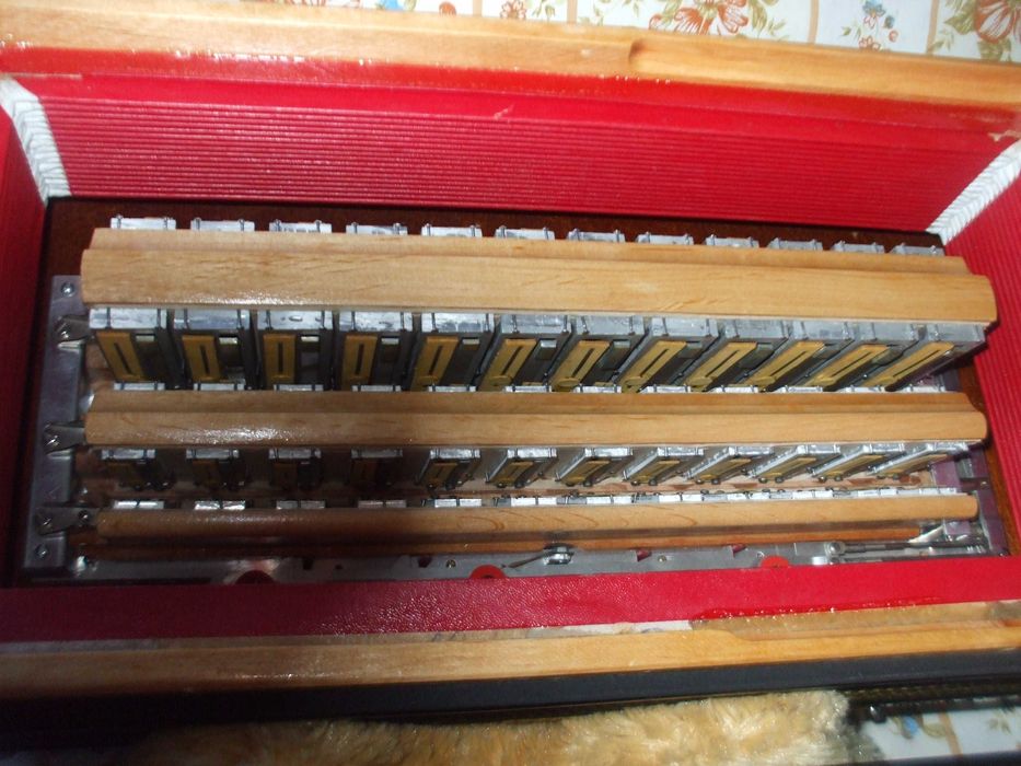 Acordeon de Botões Marca Gallinari 3ª voz Electrificado