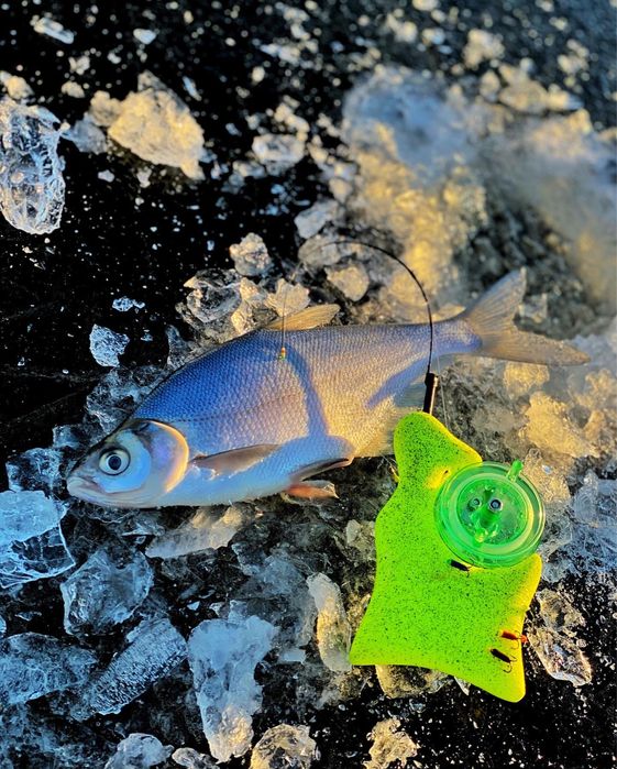 Снасть «ГИРЛЯНДА» в полном СБОРЕ! Зимняя удочка для ловли на ГИРЛЯНДУ