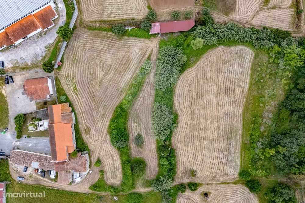 Terreno  para venda