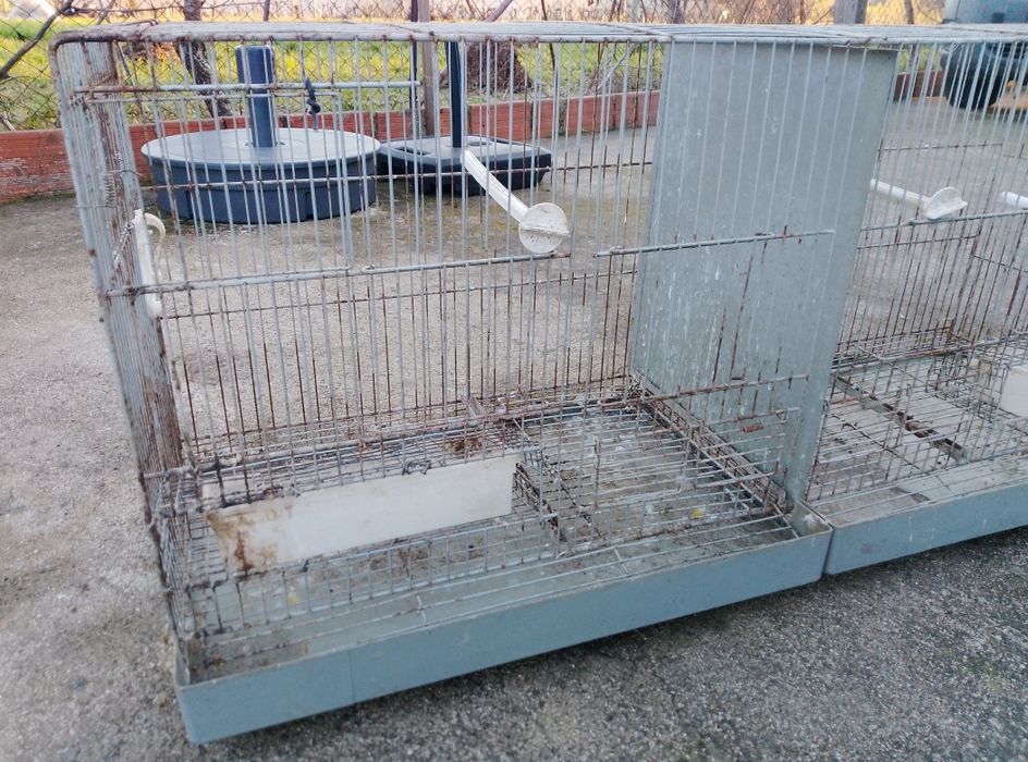 Várias Gaiolas para aves e ninhos caturras